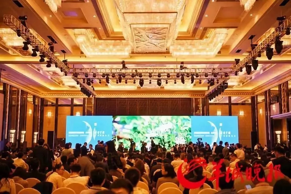 1573459906179356.jpg 640.webp (1).jpg